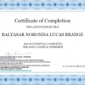 Ampliar imagem: certificate 2