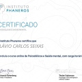Ampliar imagem: certificate 17