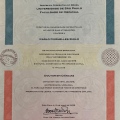 Ampliar imagem: certificate 6