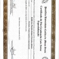 Ampliar imagem: certificate 3