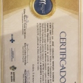 Ampliar imagem: certificate 8