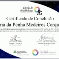Ampliar imagem: certificate 9