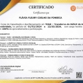 Ampliar imagem: certificate 1