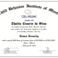 Ampliar imagem: certificate 7