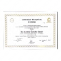 Ampliar imagem: certificate 2