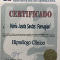 Ampliar imagem: certificate 4