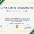 Ampliar imagem: certificate 2