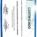Ampliar imagem: certificate 6