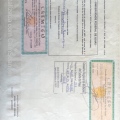 Ampliar imagem: certificate 2