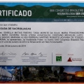 Ampliar imagem: certificate 20