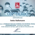 Ampliar imagem: certificate 9