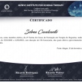 Ampliar imagem: certificate 9