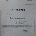 Ampliar imagem: certificate 2