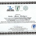 Ampliar imagem: certificate 8