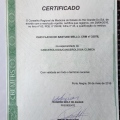 Ampliar imagem: certificate 1