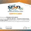 Ampliar imagem: certificate 2