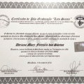 Ampliar imagem: certificate 12