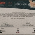 Ampliar imagem: certificate 7
