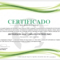 Ampliar imagem: certificate 3