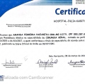 Ampliar imagem: certificate 2