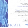 Ampliar imagem: certificate 3