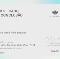 Ampliar imagem: certificate 2
