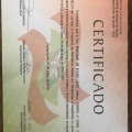 Ampliar imagem: certificate 4
