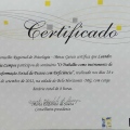 Ampliar imagem: certificate 29