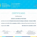 Ampliar imagem: certificate 29