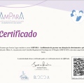 Ampliar imagem: certificate 11