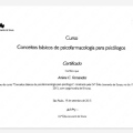 Ampliar imagem: certificate 11