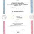 Ampliar imagem: certificate 1