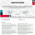 Ampliar imagem: certificate 7