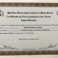 Ampliar imagem: certificate 7