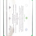 Ampliar imagem: certificate 1