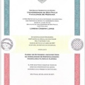 Ampliar imagem: certificate 2