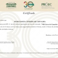 Ampliar imagem: certificate 5