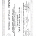Ampliar imagem: certificate 6