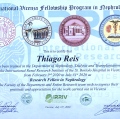 Ampliar imagem: certificate 4