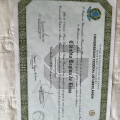 Ampliar imagem: certificate 1