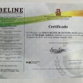 Ampliar imagem: certificate 15