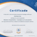 Ampliar imagem: certificate 3