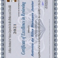 Ampliar imagem: certificate 1