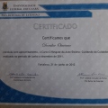 Ampliar imagem: certificate 5