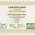 Ampliar imagem: certificate 2