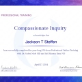 Ampliar imagem: certificate 1