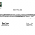 Ampliar imagem: certificate 4