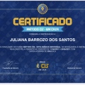 Ampliar imagem: certificate 3