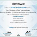 Ampliar imagem: certificate 3