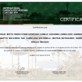 Ampliar imagem: certificate 2